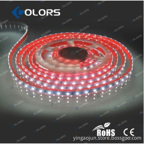 RGB Waterproof Flexible Led Strip Light DC24V